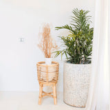 Natural rattan round plant stand