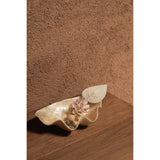 White shell soap dish