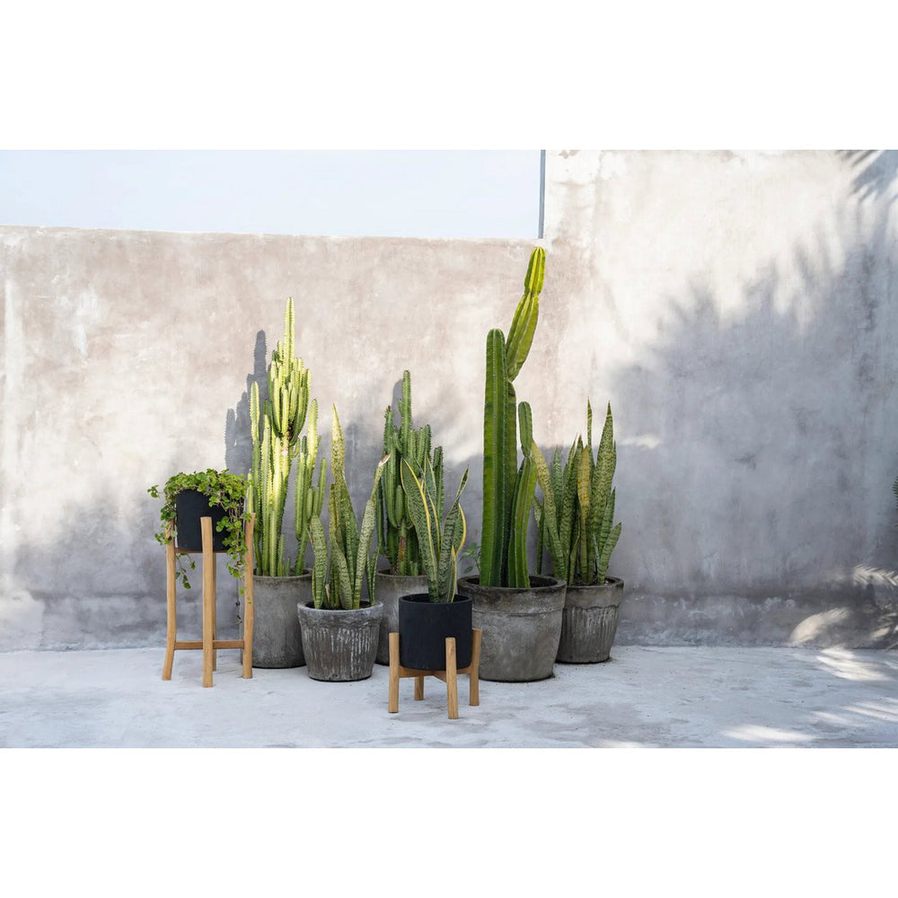 Black terracotta planter on teak branch stand