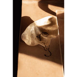 White shell soap dish