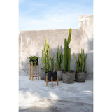 Black terracotta planter on teak branch stand