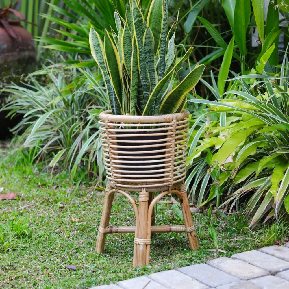 Natural rattan round plant stand