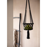 Black macrame cotton plant hanger