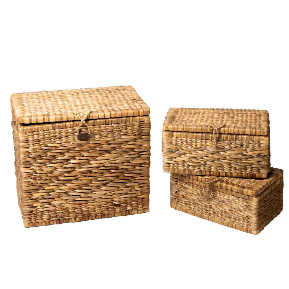Brown water hyacinth trunk basket with hinged lid