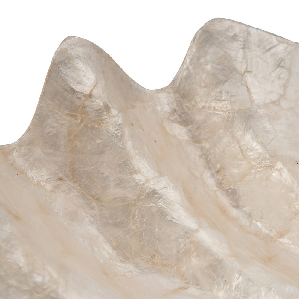White shell soap dish