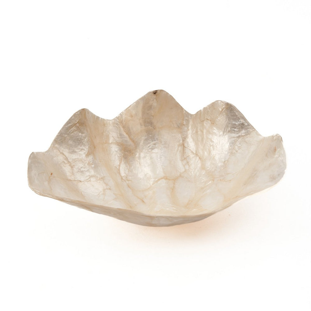 White shell soap dish